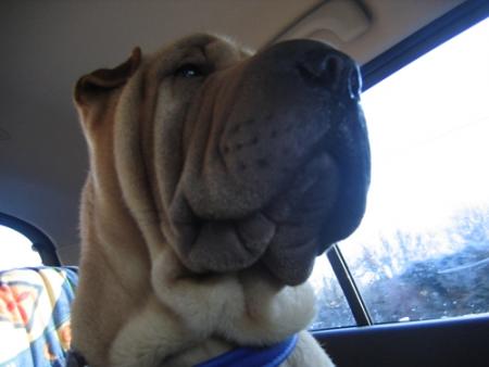 M�me en voiture...