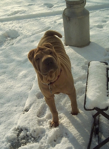 H�h�, je vois que...