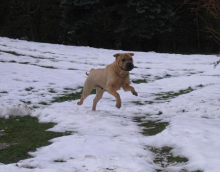 Mesdames et messieurs...