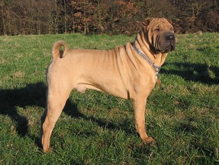 Notre gros b�b�...