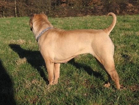 Quelque chose a boug�...