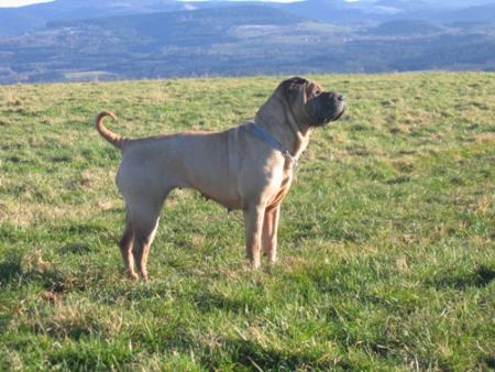 Aujourd'ui il fait beau...