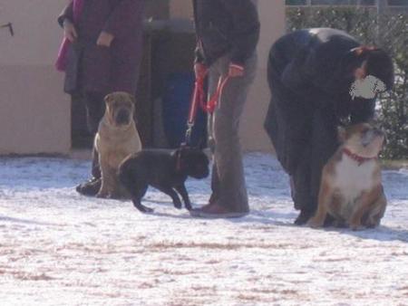 Qui a dit que j'�tais...