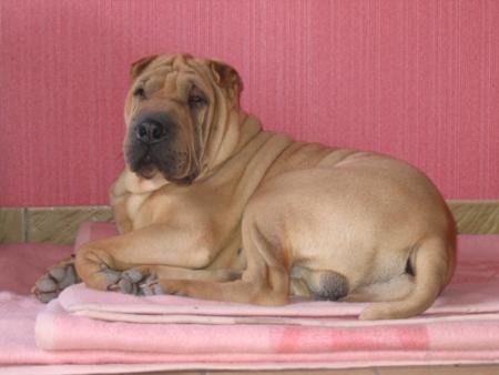 A l'oppos� des mes moments de folies...