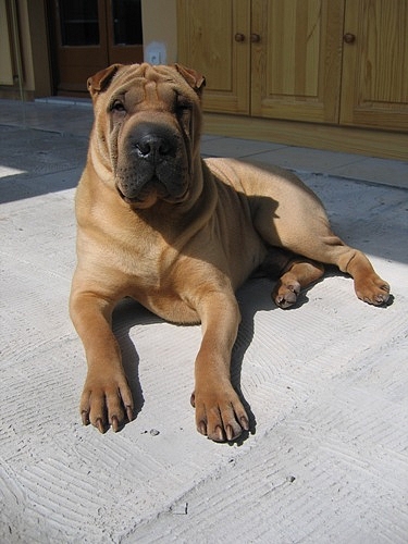 Aujourd'hui est un grand jour...