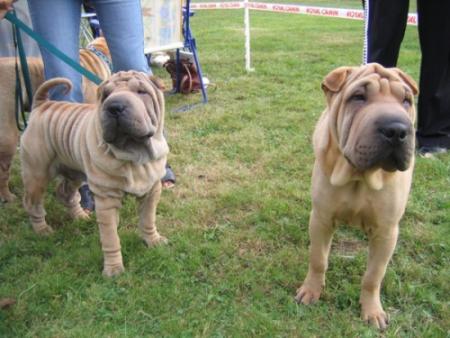 Mon fr�re Athos et moi