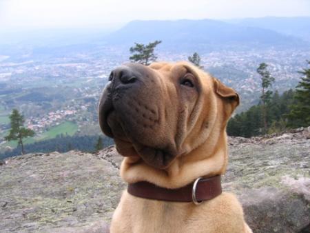 Athys � la Roche des F�es...