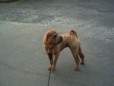 Revoici une de mes soeurs...