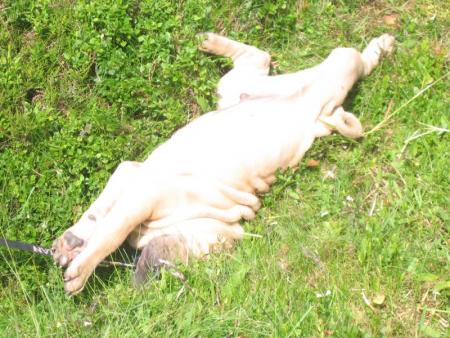 J'ai trouv� mon bonheur !