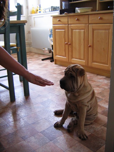 Aujourd'hui, s�ance d'exercices