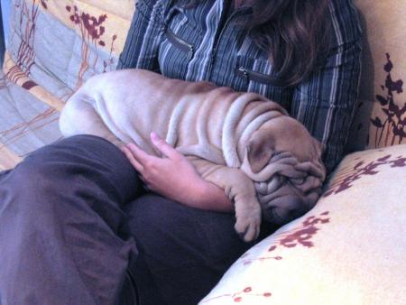 Dans les bras de Morph�e...