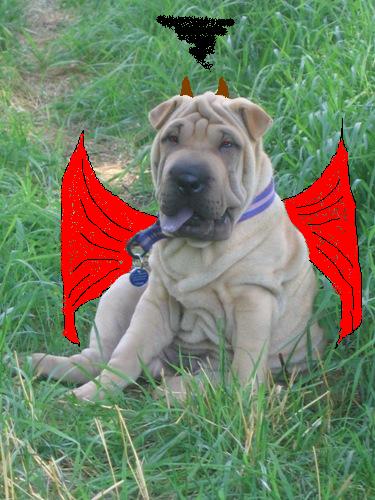 Tant�t il y a des jours o�...