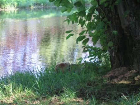 H�h�, devinez o� je suis...