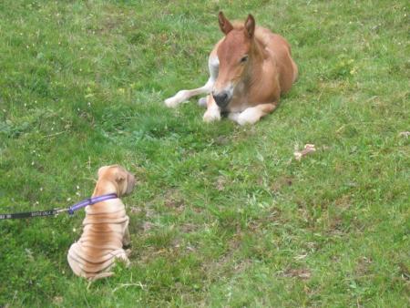 Au d�tour d'un pr�...