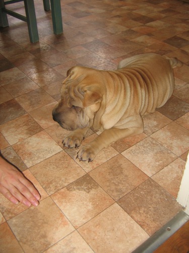 Allez, on continue...