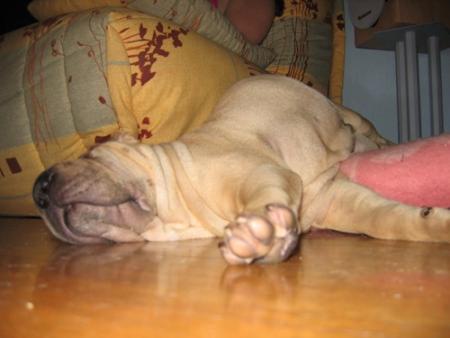 Ouuuuuuuuaaaaaaaaaarrrrffff !!!