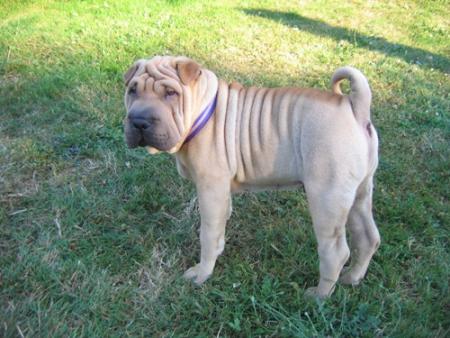 3 mois aujourd'hui !