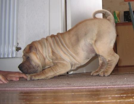 ... j'adore jouer...