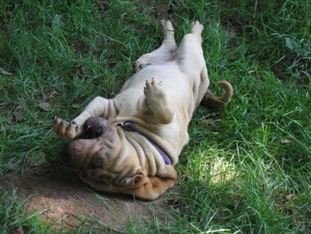 C'est l'�le du bonheur