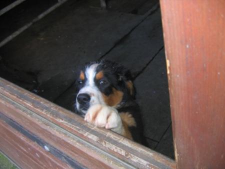 Dis, tu viens jouer avec moi ?