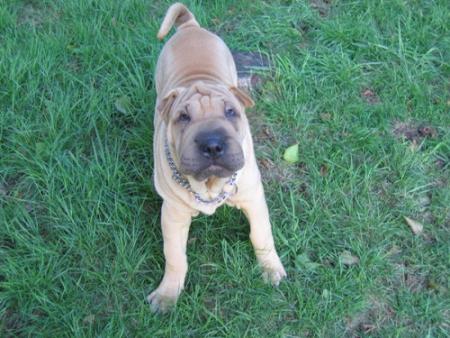 RRRRRRRRRRrrrrrrrrrrrrrrrhhhhhh !