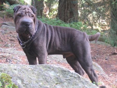 Je vous pr�sente...