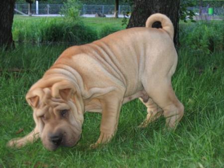 Approchons discr�tement...