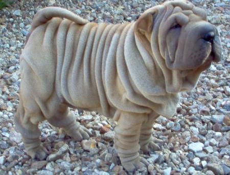 Regardez-moi ce petit bout...