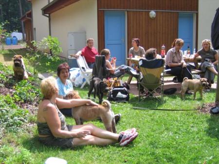 Rencontre de pouilles � l'�tang de Hanau (57, Moselle)