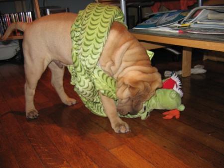 Dans un sursaut de courage...