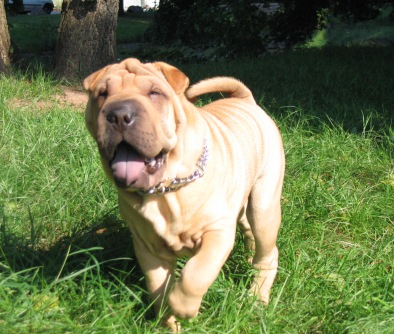 Quelle bonne pouille cet Athys...