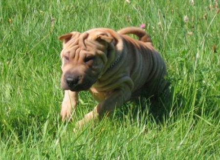 Les plantes n'ont qu'� bien s'accrocher !