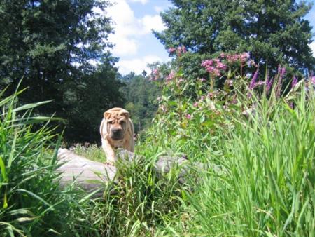 Sportif dans l'�me...