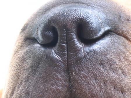 Encore plus pr�s !