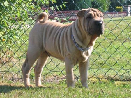 Que de changements...