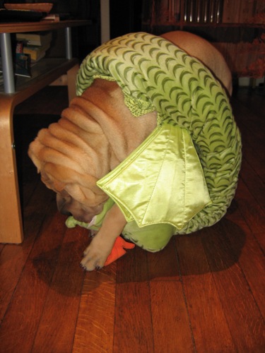 Aucun des deux ne l�cha prise...