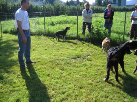 C'est la rentr�e !!!