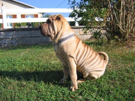 Je n'ai peut-�tre pas l'air...