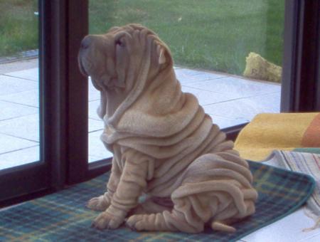 B����� Athos