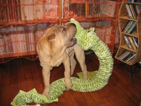 Mais on ne vainc pas...