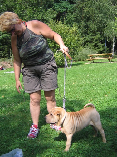 Simulation d'une pr�sentation...