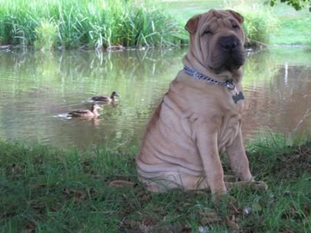 Non, ils ne sont pas l�...