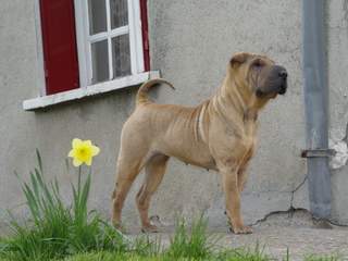 Je vous pr�sente...