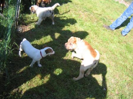 Rencontre avec le Jack...