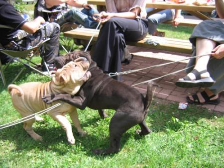 Jeux avec mon pote...