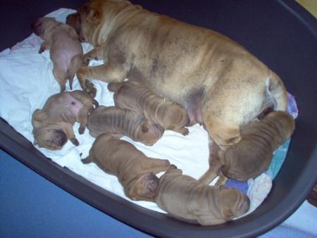 Il y a environ 3 mois...