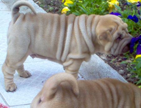 Petit retour en arri�re...