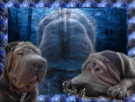 Tiens... v'l� le petit alsachien...