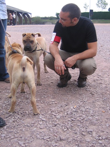 Athys a fait connaissance...