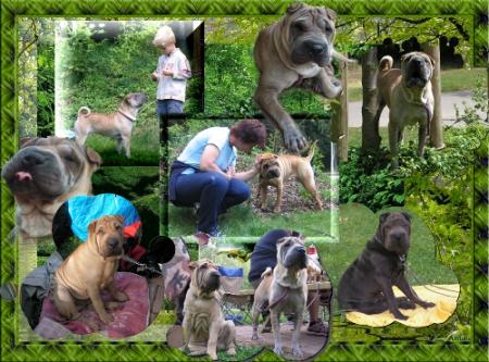 La rencontre de Hanau...